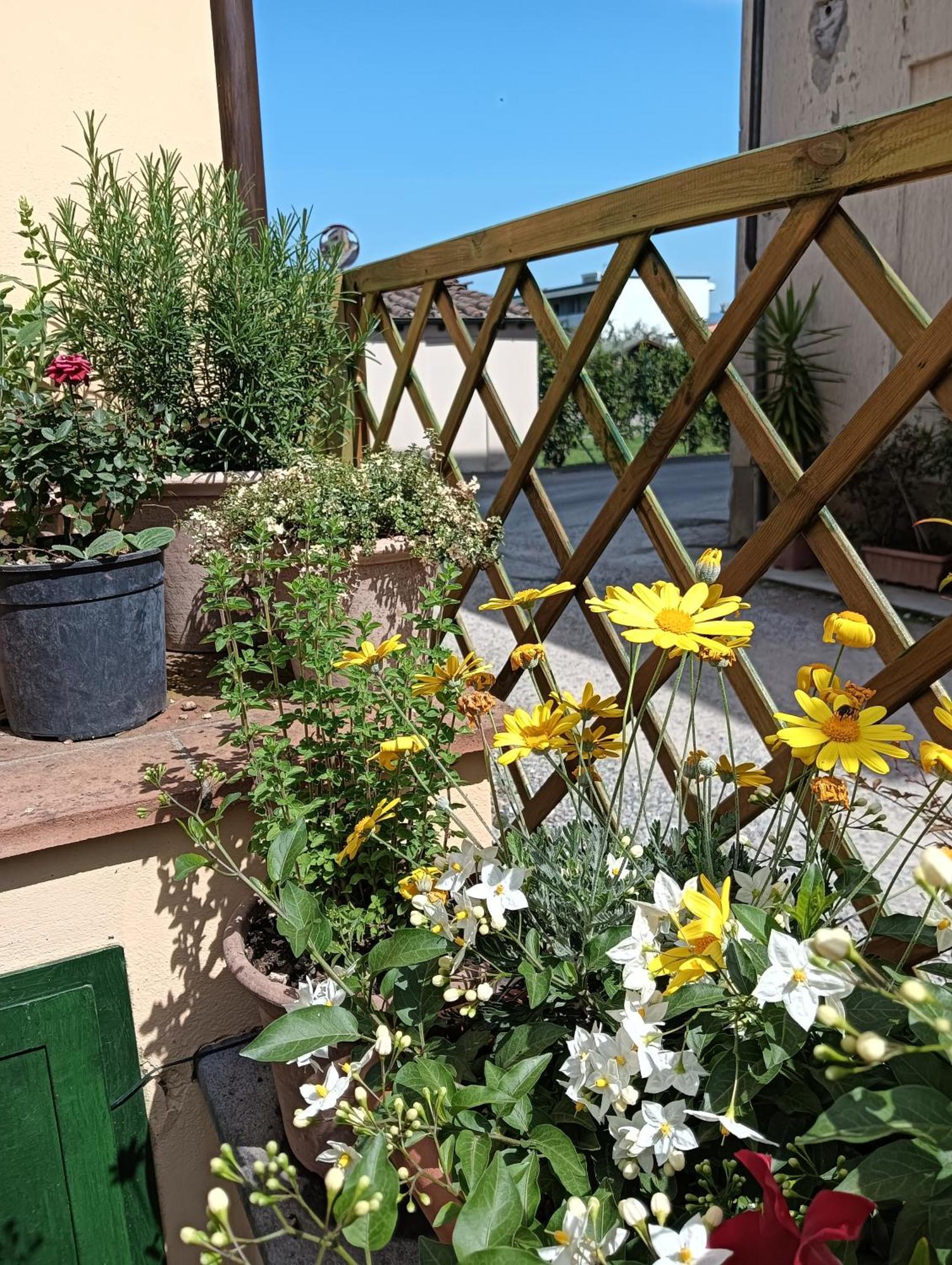 Apartamento Rustico Di Corte Capannori