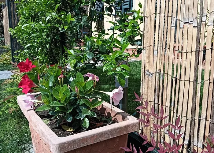 Casa Vacanze Rustico Di Corte