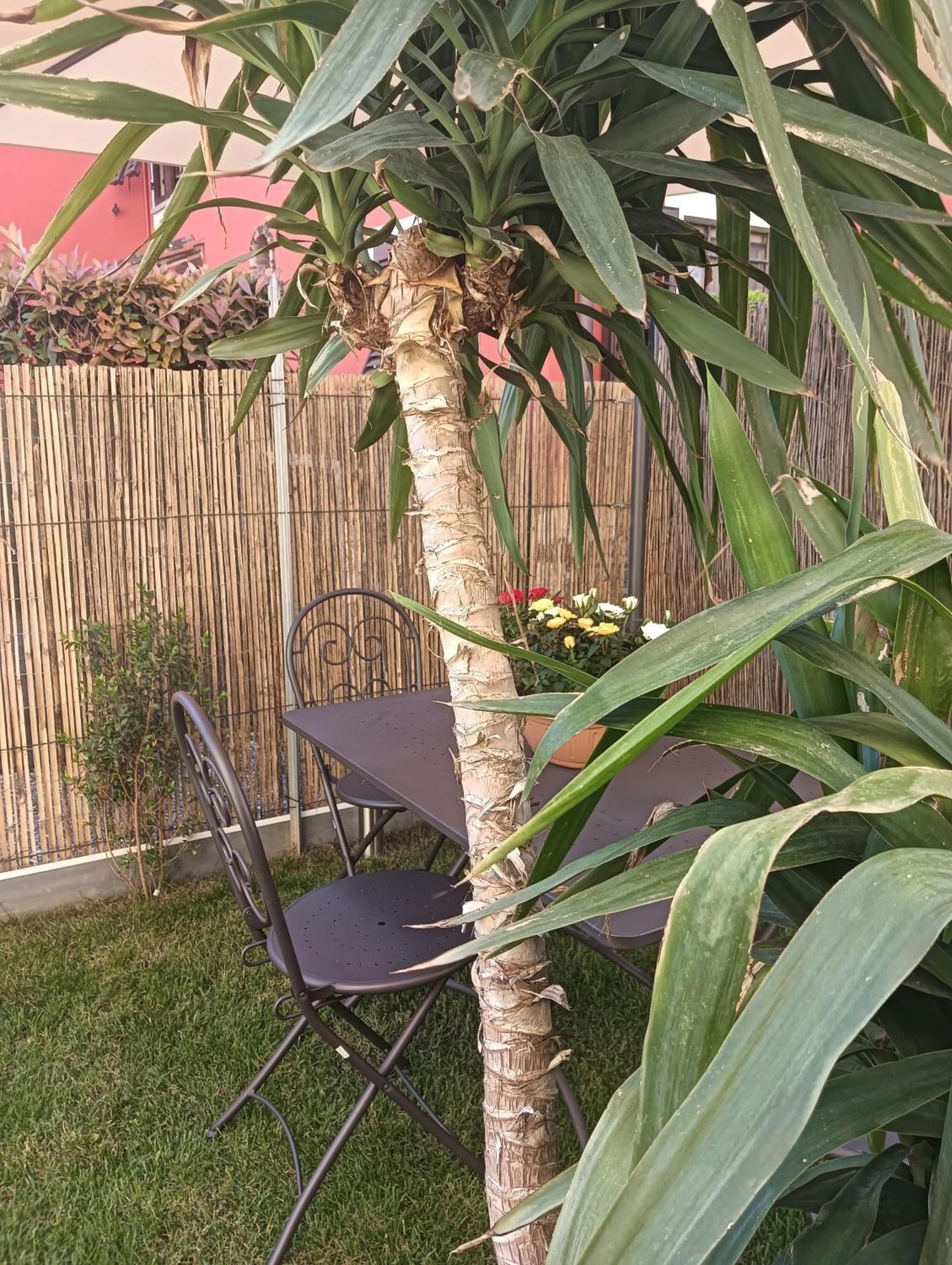 Appartement Rustico Di Corte *