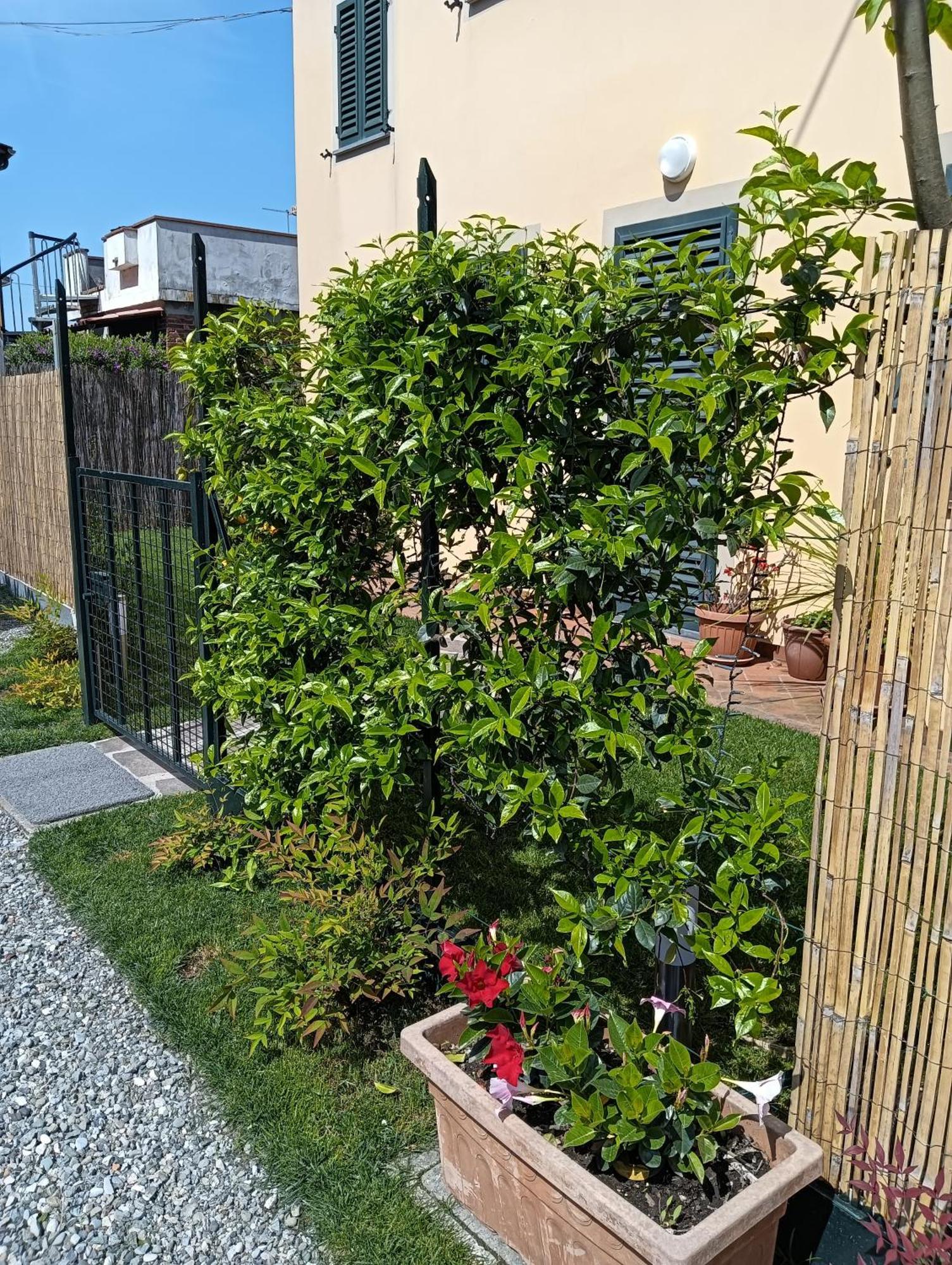 Rustico Di Corte Apartment *